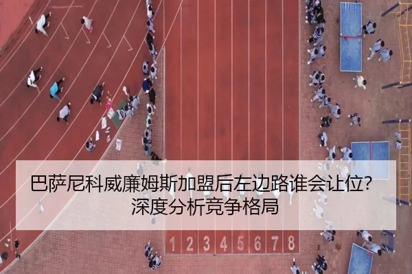 ba-sa-ni-ke-wei-lian-mu-si-jia-meng-hou-zuo-bian-lu-shui-hui-rang-wei-shen-du-fen-xi-jing-zheng-ge-ju-3-313.jpg